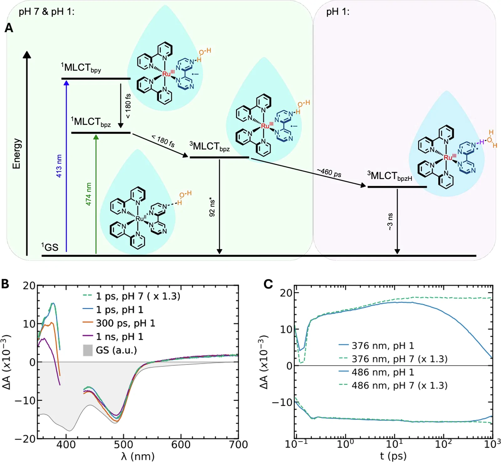 Fig. 1 of the paper: Excited state dynamics of [Ru(bpy)2(bpz)]2+.