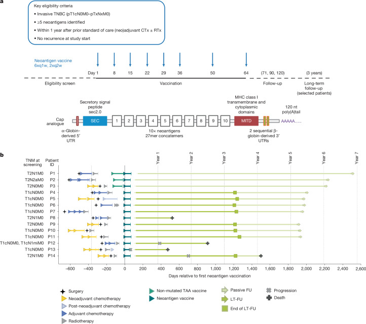 Fig. 1 of the paper: Trial design, RNA vaccine design and clinical course of patients with TNBC.