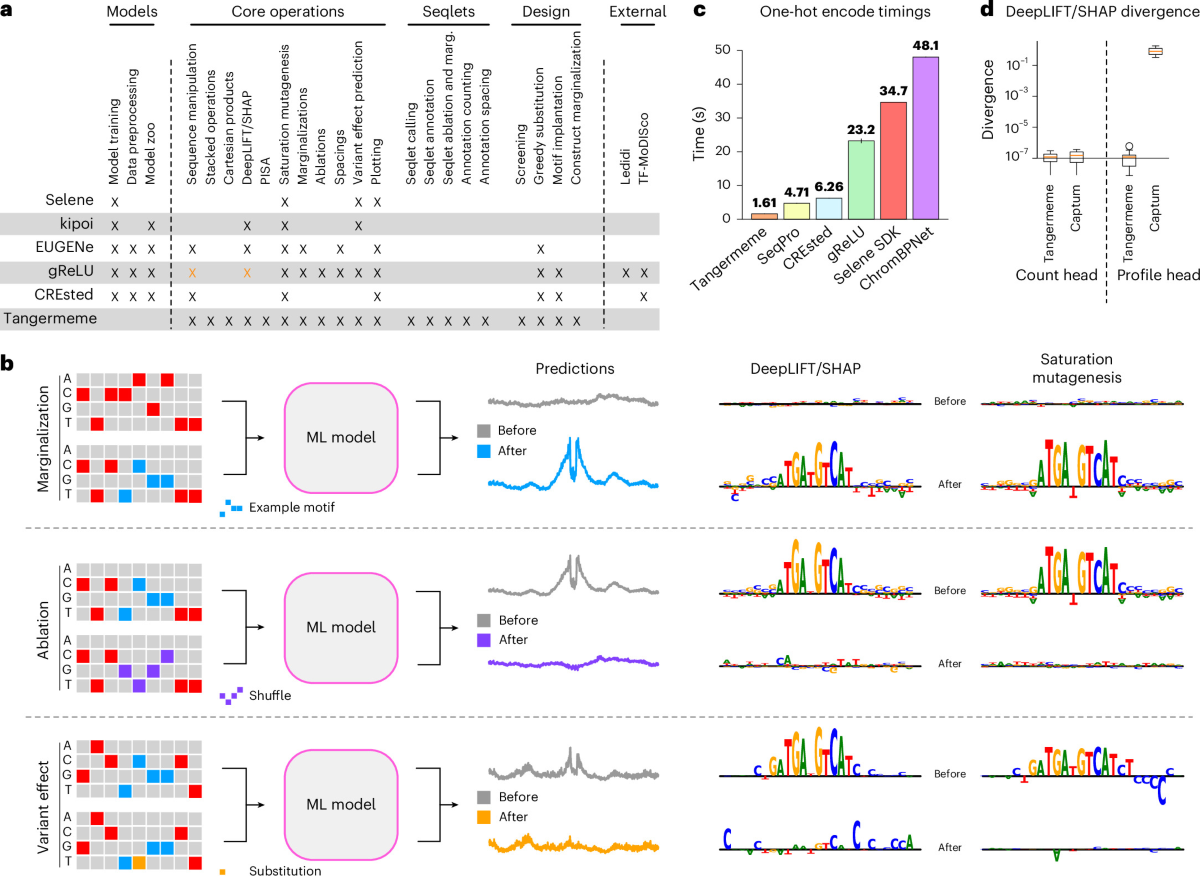 Fig. 1 of the paper: An overview of the tangermeme software suite.